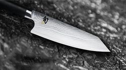 Pesce e frutti di mare, Shun Kiritsuke klein